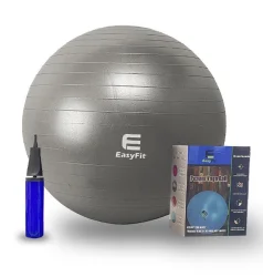 Фитбол 65 см EasyFit с системой антивзрыв, насос в компл. темно-серый