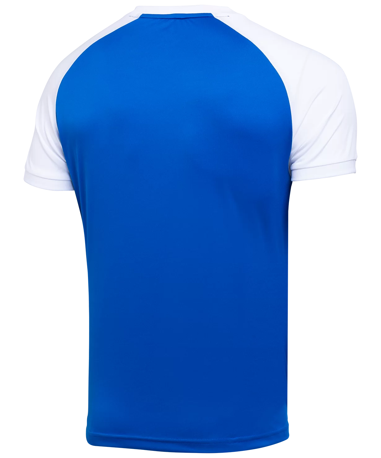Фото Футболка игровая CAMP Reglan Jersey, синий/белый со склада магазина СпортСЕ
