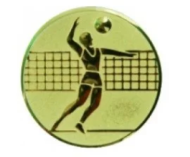 Фото Вставка для медалей AM1-19-G 25 мм пластик волейбол со склада магазина СпортСЕ
