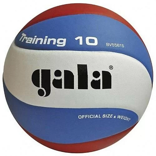 Фото Мяч волейбольный Gala Training 10 р.5  синт. кожа ПУ клееный бел-гол-красн BV5561S со склада магазина СпортСЕ