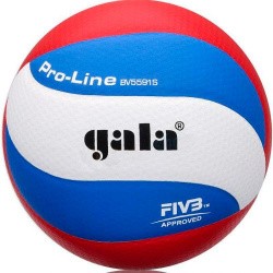 Мяч волейбольный Gala Pro-Line 10 FIVB р.5 FIVB Appr,синт.к. ПУ Microfiber клеен,бел-гол-кра BV5591S Мяч волейбольный Gala Pro-Line 10 FIVB р.5 FIVB Appr,синт.к. ПУ Microfiber клеен,бел-гол-кра BV5591S