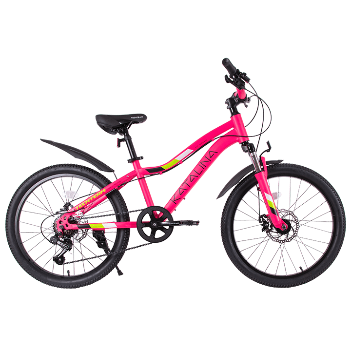 Велосипед TechTeam Katalina 20" (2024) розовый по низким ценам в Томске и Северске