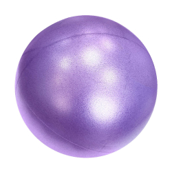 Мяч для пилатеса 25см PLB25-6 фиолетовый (E29315) 10018568
