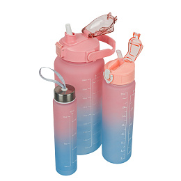Набор из 3-х спортивных бутылок pink/blue WB03-MATR Набор из 3-х спортивных бутылок pink/blue WB03-MATR по низким ценам в Томске и Северске