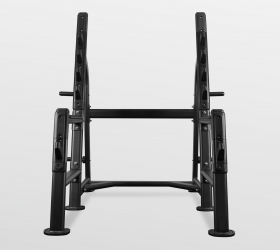 BRONZE GYM BR-1015 Рама для приседов