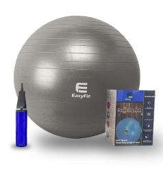 Фитбол 65 см EasyFit с системой антивзрыв, насос в компл. темно-серый
