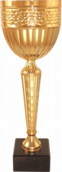 Кубок 548C (3)