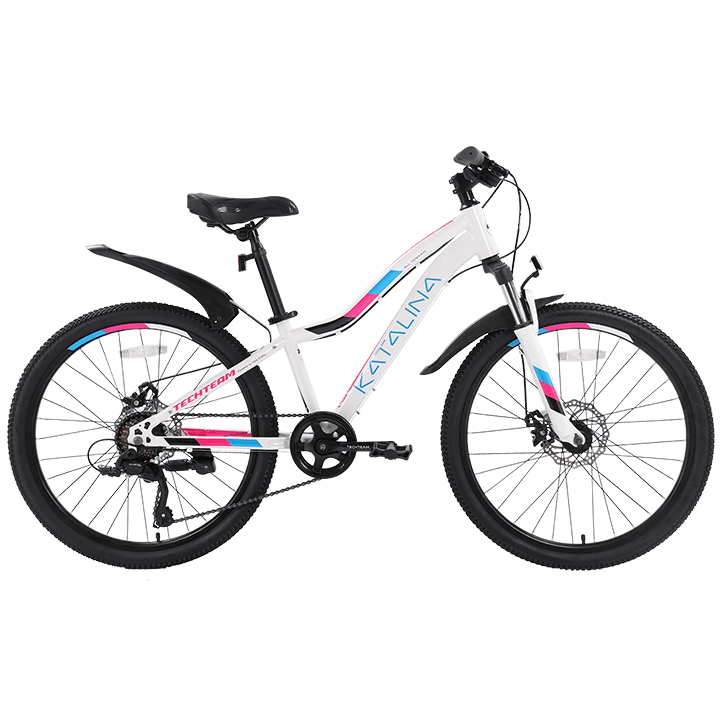 Велосипед TechTeam Katalina 24" (2024) белый Велосипед TechTeam Katalina 24" (2024) белый по низким ценам в Томске и Северске
