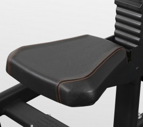 BRONZE GYM PL-1712 Трицепс
