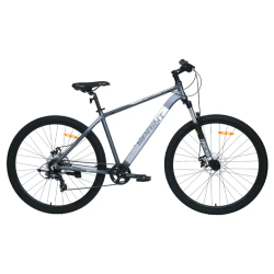 Велосипед TechTeam Sprint 29" серый
