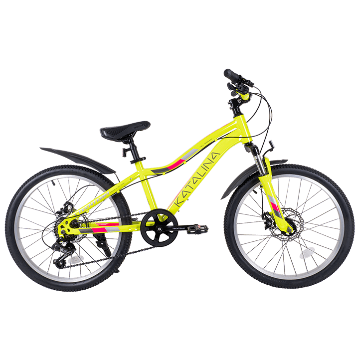 Велосипед TechTeam Katalina 20" (2024) желтый Велосипед TechTeam Katalina 20" (2024) желтый по низким ценам в Томске и Северске