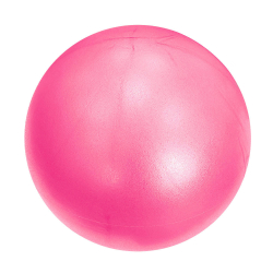 Мяч для пилатеса 25см PLB25-2 розовый (E29315) 10018567
