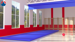 Дорожка гимнастическая  8000x2000x40mm (тент+НПЭ)
