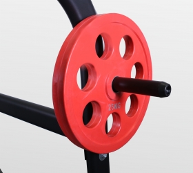 BRONZE GYM BR-1015 Рама для приседов