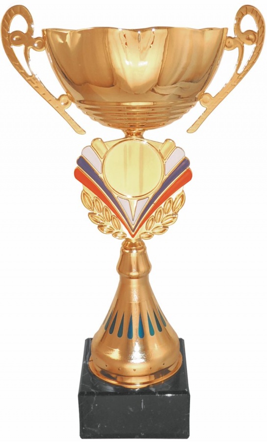  Кубок 506B (2) металл по низким ценам в Томске и Северске