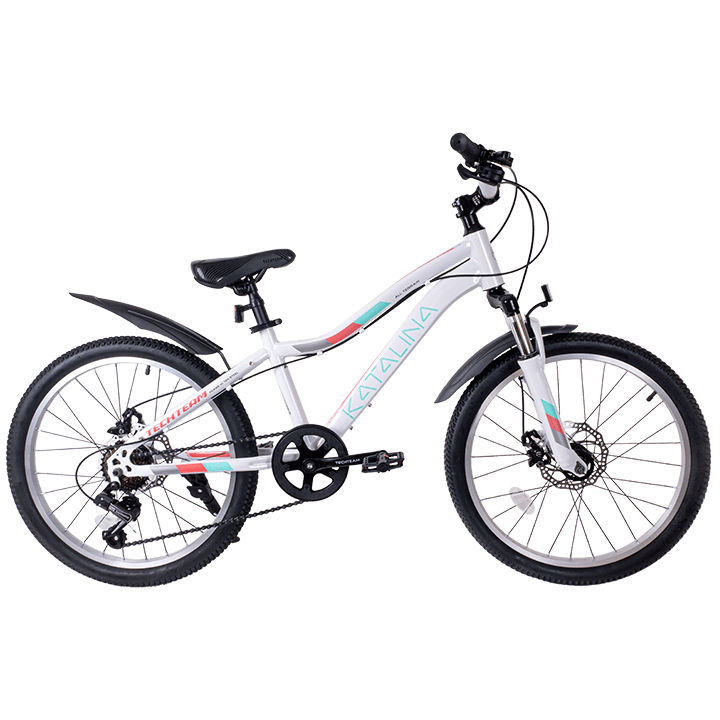 Велосипед TechTeam Katalina 22" (2024) белый Велосипед TechTeam Katalina 22" (2024) белый по низким ценам в Томске и Северске