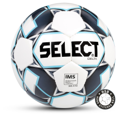 Мяч футбольный Select Delta №5 32П 2019 815017/П
