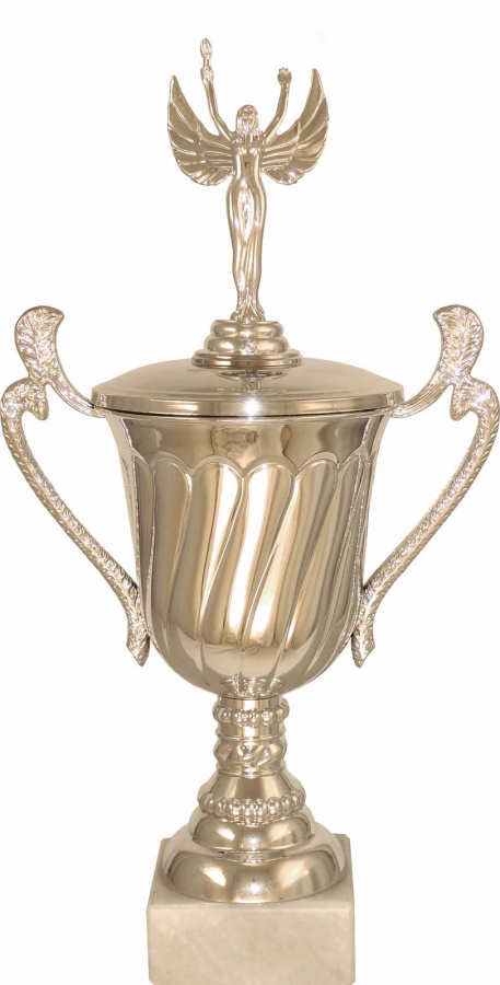  Кубок P141C-S (3) по низким ценам в Томске и Северске